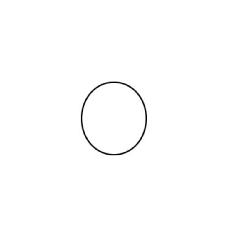 Gas Cap Seal