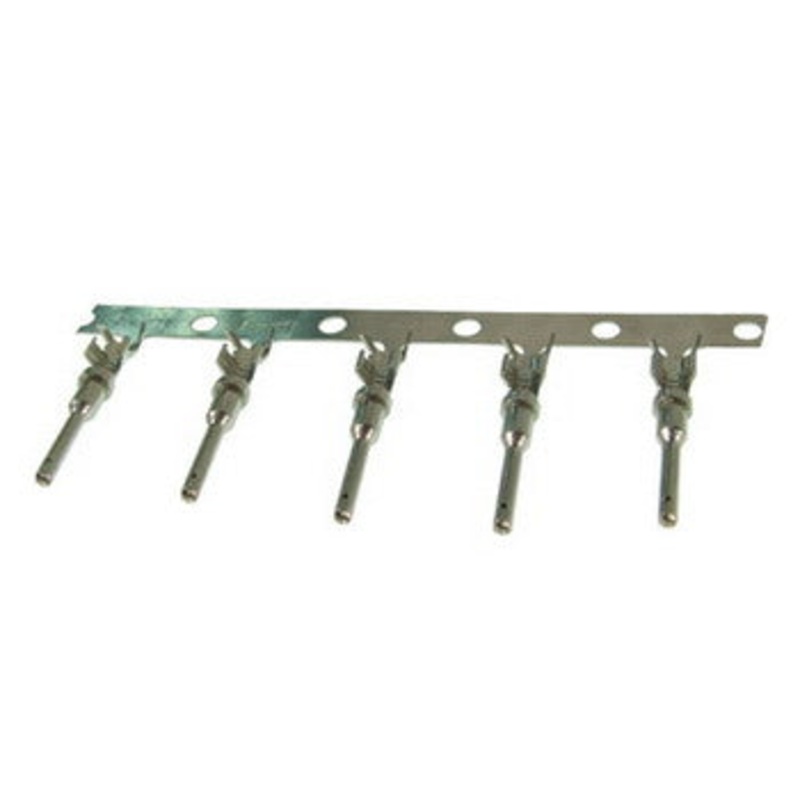 Deutsch Pins, Male