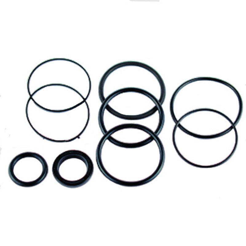 Seal Kit, Trim Cylinder - OMC